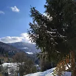 Hébergement de vacances Rodzinne Pod Jaworem - Z Placem Zabaw, Ogniskiem *