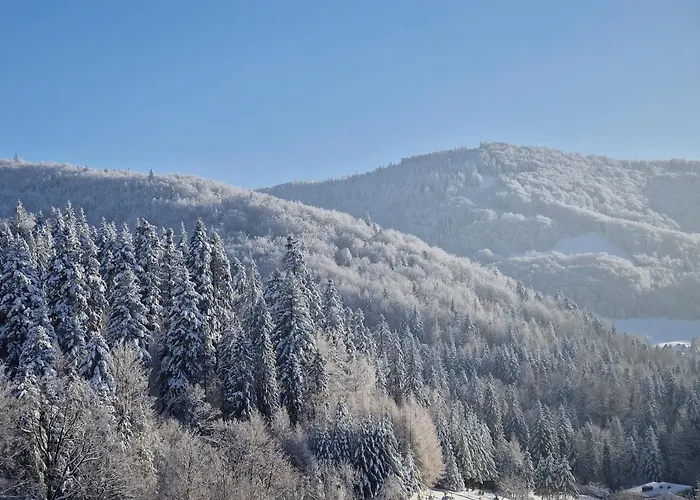 בית נופש Pod Jaworem *