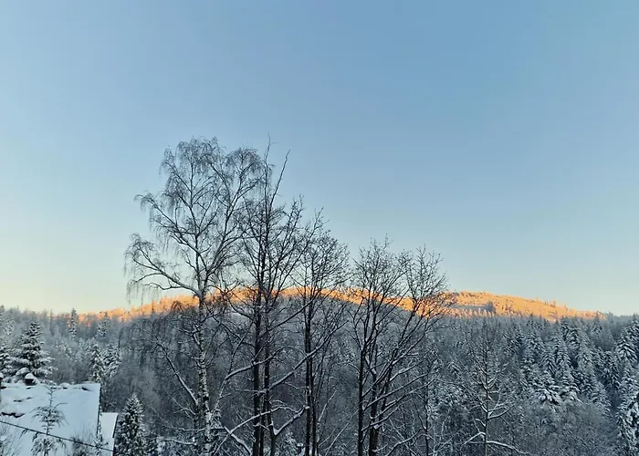 Pod Jaworem Holiday home Brenna